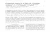 Paragénesis mineral de la veta Tajo, Yacimiento Paramillos ...naturalis.fcnym.unlp.edu.ar/repositorio/_documentos/sipcyt/bfa004339.pdf · rádicas (diamictitas) interpretadas como