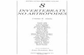 INVERTEBRATS NOARTROPODES - RedIRISpaleopolis.rediris.es/Phoronida/EMIG/REPRINTS/138.pdf · ~3. Els braquiòpodes-~ o~ 3.1 Consideracions generals 9 Els paleontòlegs que estuuien