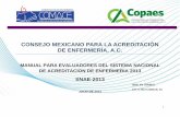 CONSEJO MEXICANO PARA LA ACREDITACIÓN DE ENFERMERÍA, …comace.mx/Documentos/C.INSTRUCTIVO_PARA_EL_EVALUADOR.pdf · 2018-12-05 · Consejo Mexicano para la Acreditación de Enfermería,