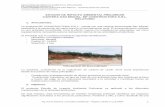 ESTUDIO DE IMPACTO AMBIENTAL PRELIMINAR CANTERA SAN …archivo.seam.gov.py/sites/default/files/users/control/m.f.constructora_rocio.r.pdf · relatorio de impacto ambiental preliminar