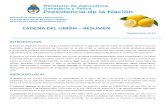 CADENA DEL LIMÓN – RESUMEN - Alimentos Argentinos de Valor de... · emplea en la fabricación de jaleas, mermeladas y conservas. Se entiende que en el aprovechamiento industrial