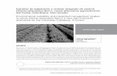 Estudios de adaptación y manejo integrado de … no.1...AlFreDo JArMA-oroZCo1 Estudios de adaptación y manejo integrado de estevia (Stevia rebaudiana Bert.): nueva alternativa agroindustrial