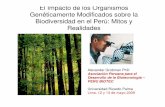 El Impacto de los Organismos Genéticamente Modificados ...perubiotec.org/PDFs/20_A_Grobman-Impacto_OGMs_en_Peru-Mitos_y_Realidades.pdfespontánea de pobladores andinos que escapan