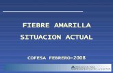 FIEBRE AMARILLA SITUACION ACTUAL - Ministerio de Salud · Argentina: el 22 de enero, la Dirección de Epidemiología de Misiones notifica la ocurrencia de muertes de monos Aluatta