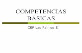 COMPETENCIAS BÁSICAS - Aragoneoepsabi.educa.aragon.es/.../1.30.Competencias_basicas_Canarias1.pdf · 5. Clasificaciones de competencias básicas Una vez determinada la necesidad