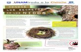 Estas estructuras tienen la función de proteger a las aves ... · Institucional de la UNAM y especialista en ecología de aves, explica que la función de esta estructura es dar