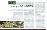  · 2013-10-10 · PIANTAS Y CULTURA POPULAR. LA ETNOBOTÁNICA EN ESPAÑA La albahaca una planta cultivada de origen remoto Aunque la albahaca se conoce en la Europa mediterránea