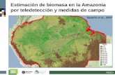 Estimación de biomasa en la Amazonia por teledetección y … · USO DE LA TIERRA ≠ COBERTURA DE SUELO Introducción: ¿por qué necesitamos trazar mapas de los sistemas de uso