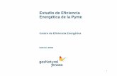 Estudio de Eficiencia Energética de la Pyme...Metodología Para la realización de la Edición 2008 del estudio de ‘Eficiencia Energética de la Pyme’, se han realizado 2.950