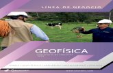 GEOFêSICA · 2018-07-26 · Detecci n de plumas contaminantes y cu as salinas. Detecci n de derrames de crudo. Nuestras ventajas Uso de procesamiento num rico avanzado que incluye