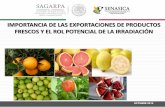 IMPORTANCIA DE LAS EXPORTACIONES DE PRODUCTOS … · para la exportación de artículos irradiados a los Estados Unidos desde México. ... Octubre de 2007 Mango Naranja, Toronja,