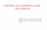 CONTROL DEL DESARROLLO EN LAS PLANTASbiologia.ucr.ac.cr/profesores/Garcia Elmer/CONTROL... · 3- Defensa contra las lesiones (Induce la transcripción génica de inhibidores de proteasas