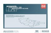 Índice de gobernabilidad para las localidades de Bogotá · Índice de gobernabilidad para las localidades de Bogotá ... el Plan de Desarrollo de la actual administración Distrital