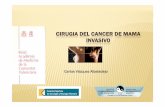 CIRUGIA DEL CANCER DE MAMA INVASIVORR de lesiones proliferativas con atipia ≥HDA/HLA = x 4,24 Efecto de la atipia en el riesgo de cáncer es independiente de la historia familiar