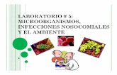 LABORATORIO - Recinto Universitario de Mayagüezacademic.uprm.edu/lrios/3725/Ejercicio5.pdflisis o en forma de burbujas de la membrana externa, impregnadas con LPS. Enterobacterias: