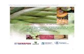 Plan “Prevención y Control de Deficiencias de Micronutrientes en … · 2018-12-20 · (Contraloría General de la República, 2007) y una densidad de 41.3 habitantes por km2.