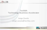 Consejo Nacional de Ciencia y Tecnología - TechBA Technology …2006-2012.conacyt.gob.mx/Acerca/ForoInnovavion/JZ_TechBA... · 2010-08-05 · 1. Al inicio del proyecto la permanencia