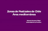 Zonas de Pastizales de Chile Área mediterráneapraderasypasturas.com/.../01.-Praderas_y_Pasturas/2005/01.-Zona_Mediterranea.pdfZonas de Pastizales de Chile Área mediterránea . Rolando