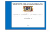 CICLO: V · 2018-11-05 · Introducción al Derecho Procesal Constitucional. Revista Peruana de Derecho Constitucional del Tribunal Constitucional del Perú N° 1º Ed. Emmarce. PEREZ