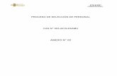 ANEXO N° 02hospitalmunicipal.gob.pe/archivos/Anexo2-Requisitos-de-Puesto.pdf · 4. Características del Puesto Funciones: 1. Implementar el Sistema Integrado de Administración Financiera