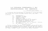 La Covada Pirenaica y su repercusión en América · 130 La Covada Pirenaica y su repercusión en América El P. Rochefort sobre los Caribes y al menos en la segunda de sus ediciones