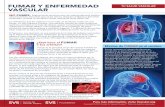 FUMAR Y ENFERMEDAD TU SALUD VASCULAR VASCULAR · 2019-02-07 · FUMAR y Enfermedad Arterial Periférica (PAD) Todas las arterias son altamente susceptibles a los efectos vasoconstrictores
