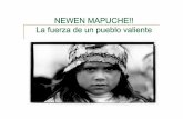 NEWEN MAPUCHE!! La fuerza de un pueblo valiente · 2011-11-22 · mapuches mantuvieron un espíritu de lucha permanente, aprendiendo rápido cómo enfrentar a los españoles, aprovechando