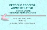 DERECHO PROCESAL ADMINISTRATIVOderecho.usmp.edu.pe/5ciclo/derecho_procesal_administrativo/Dra_Castillo/10 Tribunales...Judicial mediante el proceso contencioso-administrativo a que