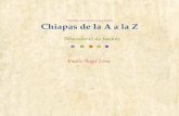 Historia de Chiapas para niños Chiapas de la A a la Z · perla y el coral. Estas gemas no son minerales, son parte o resto de algún ser vivo que pudo haberse degradado y no lo hizo