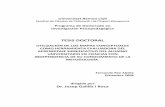 Tesi Doctoral - 3ª edición...Universitat Ramon Llull Facultat de Ciències de l’Educació i de l’Esport Blanquerna Programa de Doctorado en Investigación Psicopedagógica