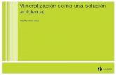 Septiembre 2010 - ficem.org...Molturabilidad Yeso en cemento Reduce Aumenta kWh/ton cemento Producción del molino Beneficios potenciales. 18 La Mineralización como una solución
