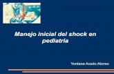 › extranet › doc › adjuntos... · Manejo inicial del shock en pediatría2018-06-05 · Pérdidas insensibles 3er espacio DISTRIBUTIVO Disminución resistencias vasculares +