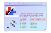 Grupo de Física Nuclear Experimentalfpsalmon.usc.es/gsi_futuro/fraile.pdf · L.M. Fraile Grupo de Física Nuclear Experimental Grupo de Física Nuclear Experimental F G E N I CSIC