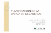 PLANIFICACION DE LA CARGA EN CEBADEROSaxonveterinaria.net/app/criaysalud/50/PDFs/Eficiencia_en... · 2013-12-18 · Ejemplo de una carga vendida a diferentes mataderos MATADERO A