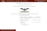 UNIVERSIDAD ANDINA DEL CUSCO ESCUELA DE POSGRADO MAESTRÍA EN DERECHO CIVIL …repositorio.uandina.edu.pe/bitstream/UAC/969/3/Yudanyer... · 2017-10-12 · universidad andina del