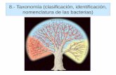 8.- Taxonomía (clasificación, identificación, nomenclatura ...específicos en pruebas de aglutinación, precipitación, inmunofluorescencia, ELISA, u otras, que detectan antígenos