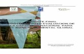REPORTE AECN FINAL - undp.org · Consejo Nacional de Áreas Protegidas , CONAP ... OTECBIO Oficina Técnica de Biodiversidad del CONAP ... UVG Universidad del Valle de Guatemala WCS