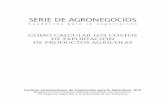SERIE DE AGRONEGOCIOSapi.ning.com/.../Costosparalaexportacion.pdf · favorece el desarrollo competitivo de los agronegocios. En enero del 2004, el IICA puso en marcha el Programa