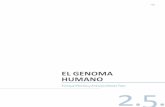 EL GENOMA HUMANO - USCxtsunxet.usc.es/macias/material/otraspubl/2_5_El_genoma_humano.pdf · nes de símbolos. Sobre el grafo se buscan ciclos eulerianos (caminos que empiezan y terminan