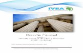 erecho Procesal - IVEAivea.com.ve/diplo/diplo4/M1-1_DP.pdf · 2018-11-01 · Debido proceso venezolano ... Administrativo o Penal). El Derecho Procesal es una rama del Ordenamiento