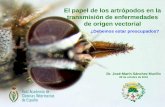 El papel de los artrópodos en la transmisión de ...racve.es/files/2019/11/ARTRoPODOS-PARTE-1.pdf · Peste porcina africana. Zoropsis spinimana . Araña de rincón . 30-6-2013 Estaba