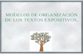 MODELOS DE ORGANIZACIÓN DE LOS TEXTOS EXPOSITIVOS.ñuales.com/wp-content/uploads/2015/06/textos-expositivos.pdf · Organización de los textos Expositivos B) CAUSA – CONSECUENCIA