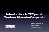 Introducció a la TCC per al Trastorn Obsessiu-Compulsiu · 2013-06-25 · CAS 1 Dona de 41 anys ANTECEDENTS 9 anys. Consulta psicòleg per tics i preocupacions recurrents sobre benestar