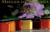 mieldemalaga.commieldemalaga.com/asociacion/publicaciones/Catalogo... · 2018-09-05 · transportar la miel, los cálatos” ... Solo las reinas fecundadas pueden poner huevos de