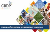 CORPORACIÓN REGIONAL DE DESARROLLO PRODUCTIVO · la corporación regional de desarrollo productivo (crdp) es ... • fomento el manejo integral de residuos. ... selecciÓn posibles