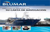 REVISTA - Blumar · 2019-09-16 · reto de Blumar para 2012 se resume en dos puntos: alcanzar los volú-menes de producción de salmones y consolidarse como un operador rentable en