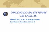DIPLOMADO EN SISTEMAS DE CALIDADdepa.fquim.unam.mx/amyd//archivero/Lecturavalidacion-3_15037.pdf · PLAN MAESTRO DE VALIDACIONES / OBJETIVOS Familiarización con el proyecto / entrenamiento.