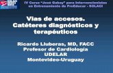 Vias de accesos. Catéteres diagnósticos y terapéuticos · IV Curso ´ José Gabayµ para Intervencionistas en Entrenamiento de ProEducar - SOLACI Vias de accesos. Catéteres diagnósticos