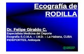 Ecografía de RODILLA - ACOMESF · Dr. Felipe Giraldo C. Especialista Medicina del Deporte Ecografía S.O.M.A. – I.M.D. – La Habana, CUBA INDEPORTES, Antioquia Ecografía de RODILLA