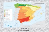 BLOQUE V BIOGEOGRAFÍA · La región biogeográfica alpina (I) En España, solo los Pirineos aparecen incluidos dentro de esta región: •Esta cordillera presenta una disimetría